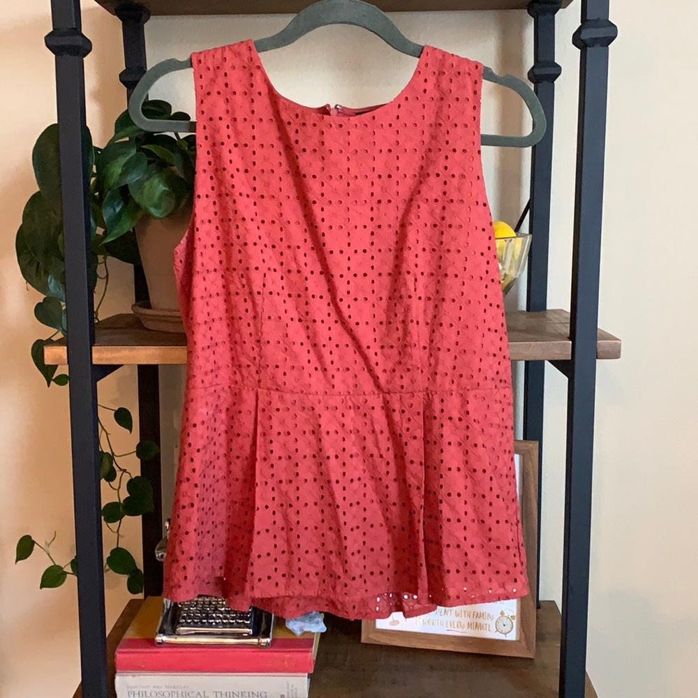 Ann Taylor Mauve Top